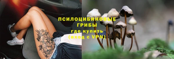 меф Козельск