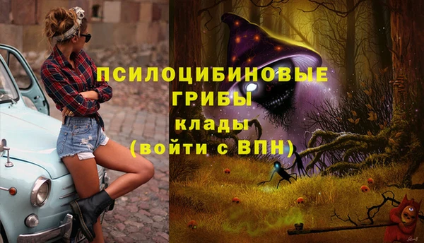 меф Козельск