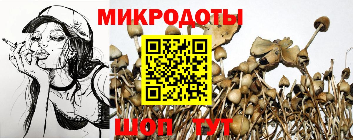 Тихвин  Псилоцибиновые грибы Psilocybine cubensis  Вход с VPN 